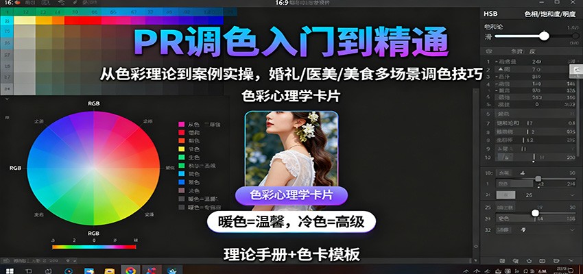 PR调色入门到精通：从色彩理论到案例实操，婚礼/医美/美食多场景调色技巧-人人创业优云网，国内各种创业项目下载网站