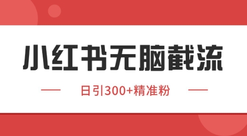小红书截流同行客源，独家野路子获客玩法 日引200+暴力获客【揭秘】-人人创业优云网，国内各种创业项目下载网站