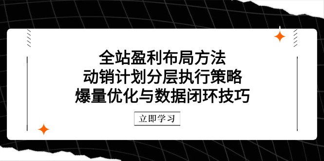 全站盈利布局方法：动销计划分层执行策略，爆量优化与数据闭环技巧-人人创业优云网，国内各种创业项目下载网站