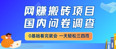 网创搬砖项目，国内问卷调查，小白轻松上手，一天三四张的也不难，干就完了【揭秘】-人人创业优云网，国内各种创业项目下载网站