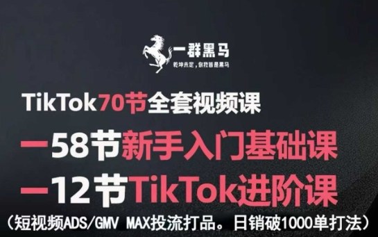 TikTok全套视频课，新手入门+进阶课，短视频ADS-GMV MAX投流打品，日销破1000单打法-人人创业优云网，国内各种创业项目下载网站