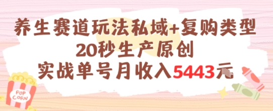养生赛道玩法私域+复购类型，20秒生产原创实战单号月收入5k+-人人创业优云网，国内各种创业项目下载网站