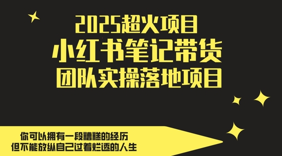 2025超火项目，副业最佳选择，小红书笔记带货团队实操落地项目，，轻松日入5张-人人创业优云网，国内各种创业项目下载网站