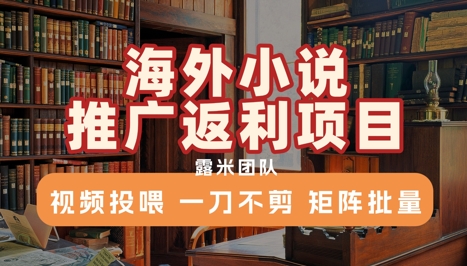 海外小说推广返利项目，视频投喂， 一刀不剪，矩阵批量-人人创业优云网，国内各种创业项目下载网站