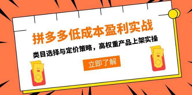 （15143期）拼多多低成本盈利实战，类目选择与定价策略，高权重产品上架实操-人人创业优云网，国内各种创业项目下载网站