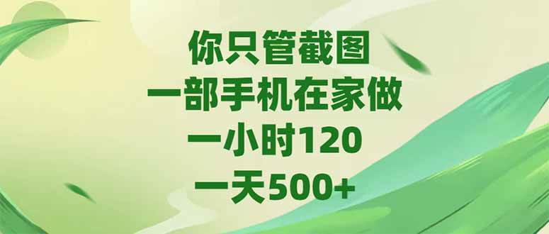 （15039期）你只管截图，一部手机在家做，一小时120，-天500+-人人创业优云网，国内各种创业项目下载网站