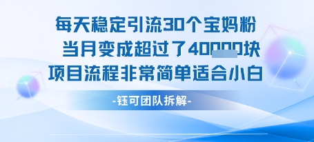 每天稳定引流30个人 当月变成超过了4个W项目流程非常简单适合小白-人人创业优云网，国内各种创业项目下载网站