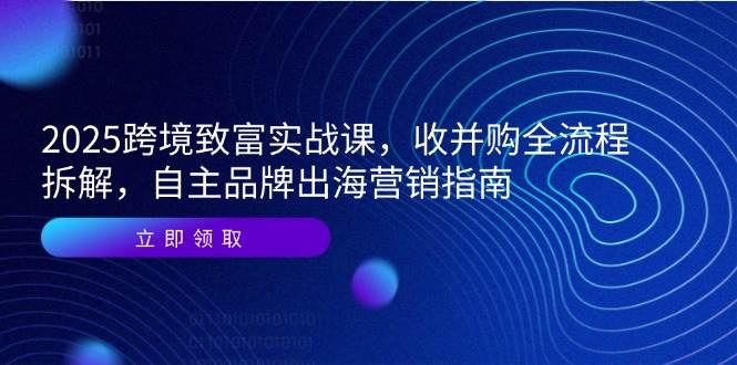 （14975期）2025跨境致富实战课，收并购全流程拆解，自主品牌出海营销指南-人人创业优云网，国内各种创业项目下载网站