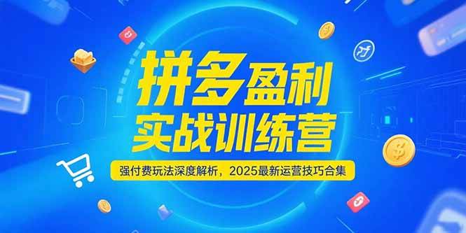 （15183期）拼多多盈利实战训练营，强付费玩法深度解析，2025最新运营技巧合集-人人创业优云网，国内各种创业项目下载网站
