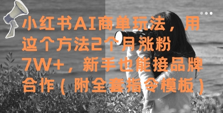 小红书AI商单玩法，用这个方法2个月涨粉7W+，新手也能接品牌合作(附全套指令模板)-人人创业优云网，国内各种创业项目下载网站