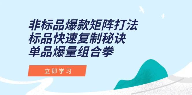 （15068期）非标品爆款矩阵打法，标品快速复制秘诀，单品爆量组合拳-人人创业优云网，国内各种创业项目下载网站