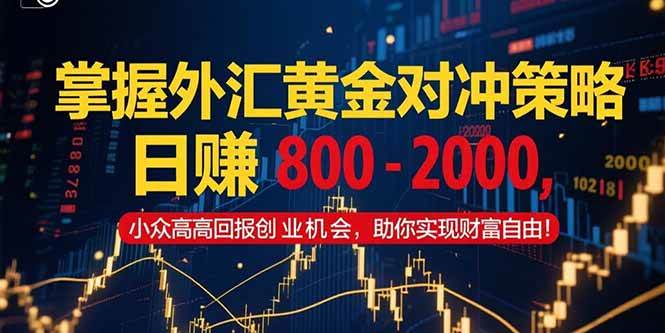 （15198期）掌握外汇黄金对冲策略，日赚 800 – 2000，小众高回报创业机会，助你实…-人人创业优云网，国内各种创业项目下载网站