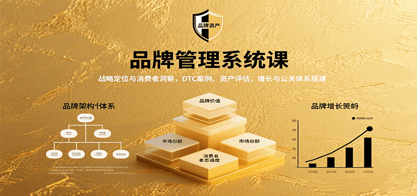 品牌管理系统课：战略定位与消费者洞察，DTC案例、资产评估，增长与公关体系搭建-人人创业优云网，国内各种创业项目下载网站
