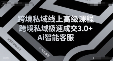 跨境私域线上高级课程，跨境私域极速成交3.0+Ai智能客服-人人创业优云网，国内各种创业项目下载网站