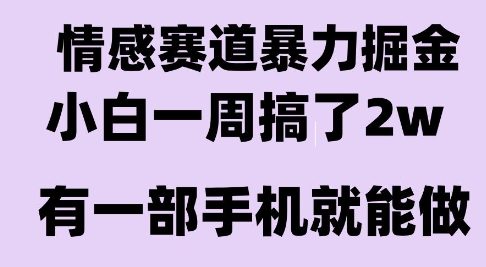 情感暴力掘金项目，新人操作一周挣了2W，长期稳定小白可做【揭秘】-人人创业优云网，国内各种创业项目下载网站