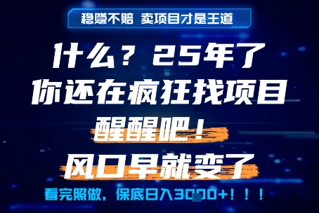 什么？25年你还在疯狂找项目做，醒醒吧，看完这些你全都懂了！【揭秘】-人人创业优云网，国内各种创业项目下载网站
