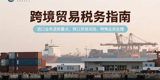 （15381期）跨境贸易税务指南，进口业务退税要点，转口贸易风险，特殊业务处理-人人创业优云网，国内各种创业项目下载网站