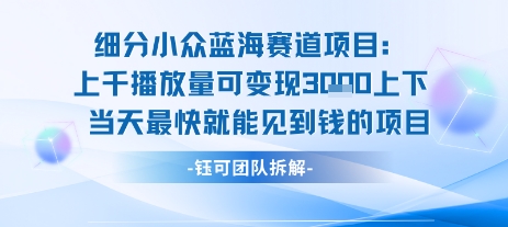小众蓝海赛道项目：当天变现1k+适合新手操作 +适合长期玩-人人创业优云网，国内各种创业项目下载网站