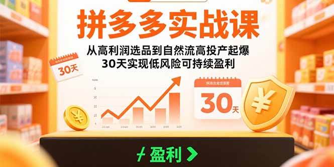 （15586期）拼多多实战课：从高利润选品到自然流高投产起爆 30天实现低风险可持续盈利-人人创业优云网，国内各种创业项目下载网站
