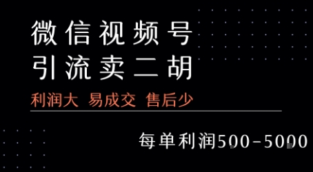 视频号卖二胡教程，利润大 易成交 售后少，一单利润5张+-人人创业优云网，国内各种创业项目下载网站