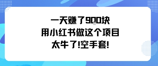 一天挣了9张用小红书做这个项目太牛了，空手套-人人创业优云网，国内各种创业项目下载网站