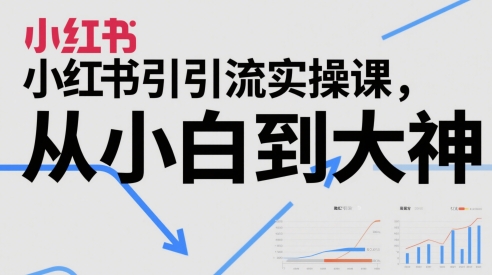小红书引流实操课，从小白到大神-人人创业优云网，国内各种创业项目下载网站