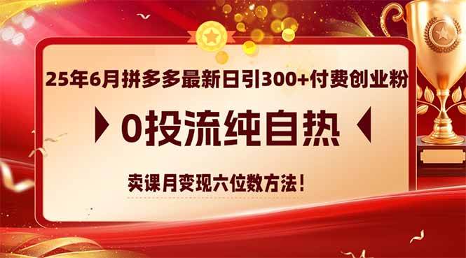 （14989期）25年6月拼多多最新日引300+付费创业粉，0投流纯自热 卖课月变现六位数方法-人人创业优云网，国内各种创业项目下载网站