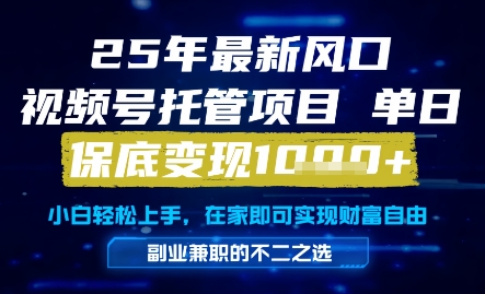 25年最新风口，视频号托管项目，单日保底变现1k+，手把手教学【揭秘】-人人创业优云网，国内各种创业项目下载网站