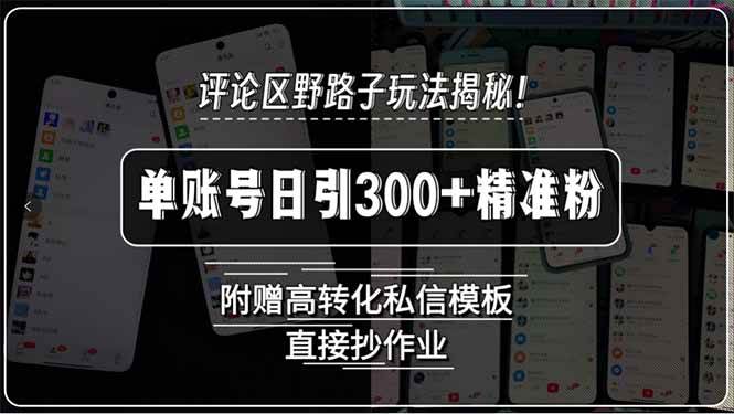 （15466期）评论区野路子玩法揭秘！单账号日引300+精准粉，附赠高转化私信模板，直…-人人创业优云网，国内各种创业项目下载网站