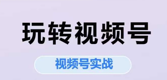 玩转视频号，视频号实战系列课-人人创业优云网，国内各种创业项目下载网站