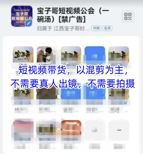 宝子哥头部团队短视频带货，以混剪为主，不需要真人出镜，不需要拍摄【更新6月】-人人创业优云网，国内各种创业项目下载网站