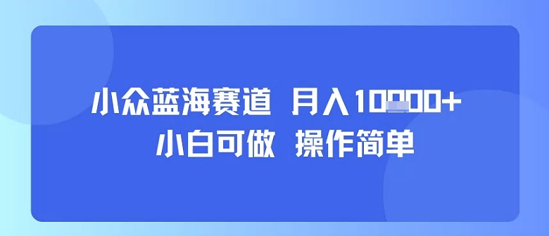 小众蓝海赛道，小白可做，操作简单，每天30分钟，月入1W+-人人创业优云网，国内各种创业项目下载网站