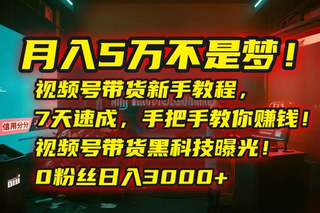 （15595期）月入5万不是梦！视频号带货新手教程，7天速成，手把手教你赚钱！视频号…-人人创业优云网，国内各种创业项目下载网站