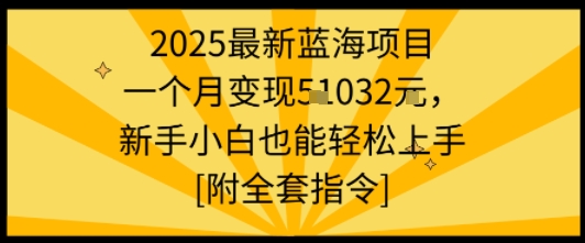 2025最新蓝海项目一个月变现1w+新手小白也能轻松上手【附全套指令】-人人创业优云网，国内各种创业项目下载网站