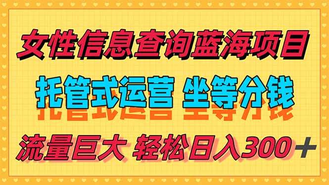 （15216期）稳定日入300＋，小众信息查询蓝海项目，全程懒人式托管，解放你的时间-人人创业优云网，国内各种创业项目下载网站